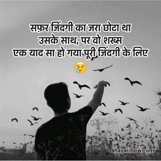 shayariflow 9 2